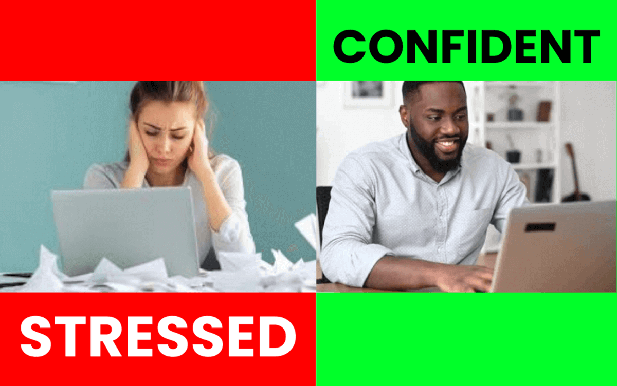 WordPress Hosting for Beginners: How to Choose Your First Host Stressed And Confidently Looking For A Hosting Plan