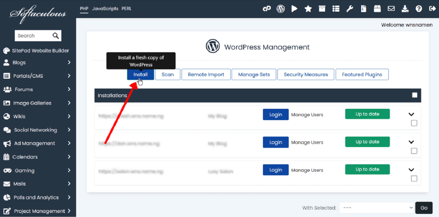 How to Install WordPress: Step-by-Step Guide for Complete Beginners Softaculous WordPress overview page showing the blue "Install Now" button in the top left corner